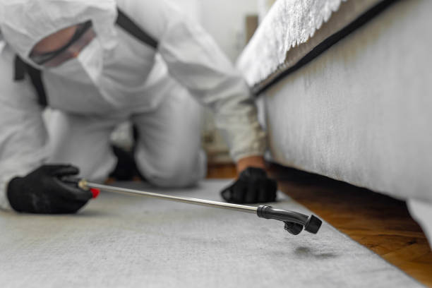 Professional Bed Bug Control technician working in Hartford, MI