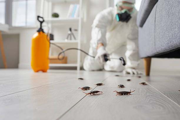 Trusted Rodent Control service in Hartford, MI - Nex Pest Control
