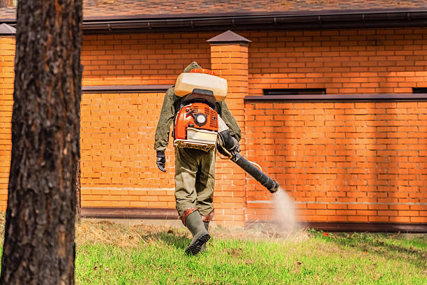 Trusted Ant Control service in Hartford, MI - Nex Pest Control